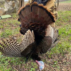 Meet your Posher, Evan